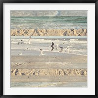 Flying Beach Birds II Fine Art Print