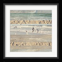 Flying Beach Birds II Fine Art Print