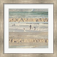 Flying Beach Birds II Fine Art Print