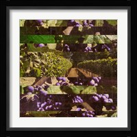 Vinecraft Horizons I Fine Art Print
