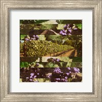 Vinecraft Horizons II Fine Art Print