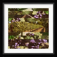 Vinecraft Horizons II Fine Art Print
