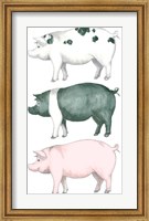 Piggy Wiggy Set Fine Art Print