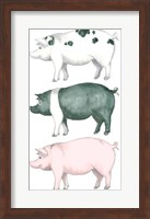 Piggy Wiggy Set Fine Art Print