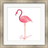 Flamingo Walk IV Fine Art Print