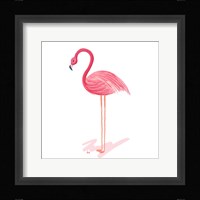Flamingo Walk IV Framed Print