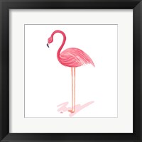 Flamingo Walk IV Framed Print