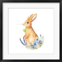 Spring Bunny I Fine Art Print