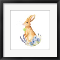 Spring Bunny I Framed Print