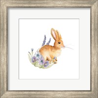 Spring Bunny II Fine Art Print