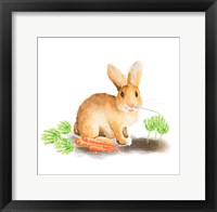 Spring Bunny III Framed Print