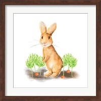 Spring Bunny IV Fine Art Print
