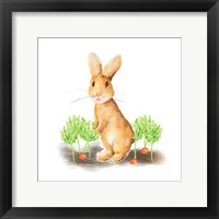 Spring Bunny IV Framed Print