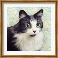 Cat on Paisley Fine Art Print