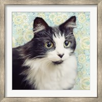 Cat on Paisley Fine Art Print
