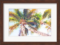 Sideway Watercolor Palms II Fine Art Print