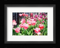 In the Park Fine Art Print