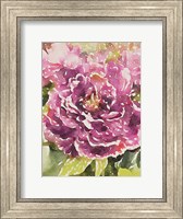 Purple Blossoms Fine Art Print