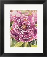 Purple Blossoms Fine Art Print
