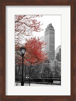 Central Park with Red Tree Fine Art Print