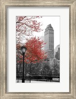 Central Park with Red Tree Fine Art Print