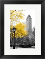 Central Park with Yellow Tree Fine Art Print