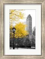 Central Park with Yellow Tree Fine Art Print