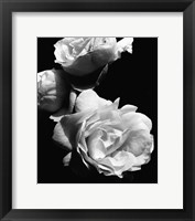 Dramatic Love Blooms II Framed Print