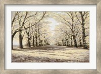 Winter Cathedral Fine Art Print