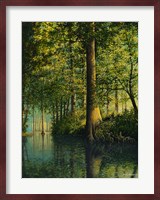 Peaceful River Fine Art Print