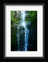 Natural Rain Forest Fine Art Print