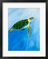 Green Turtle Fine Art Print