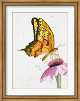 Butterfly Nectar Fine Art Print
