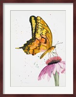 Butterfly Nectar Fine Art Print