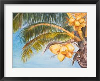 Coconut Palm Trees Fine Art Print