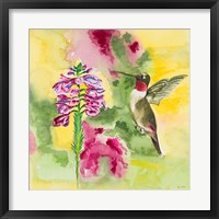 Watercolor Hummingbird Fine Art Print