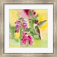 Watercolor Hummingbird Fine Art Print