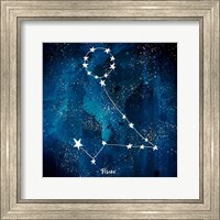 Pisces Fine Art Print