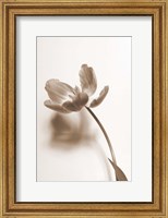 Delicate Floral I Fine Art Print