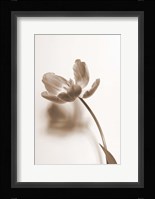 Delicate Floral I Fine Art Print