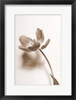 Delicate Floral I Framed Print