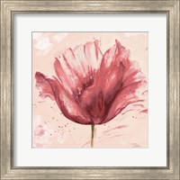 Flower in Pink Fine Art Print