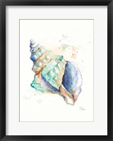 Blue Shell Fine Art Print