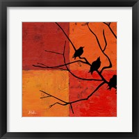 Three Birdies I Framed Print