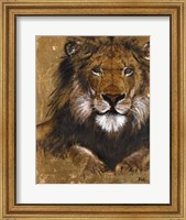 Gold Lion Fine Art Print