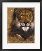 Gold Lion Framed Print