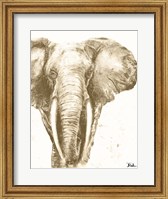 Muted Elephant Fine Art Print