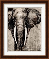 Elephant on Newspaper Fine Art Print