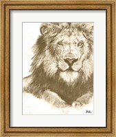 Muted Lion Fine Art Print