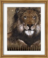 Brown Lion Fine Art Print